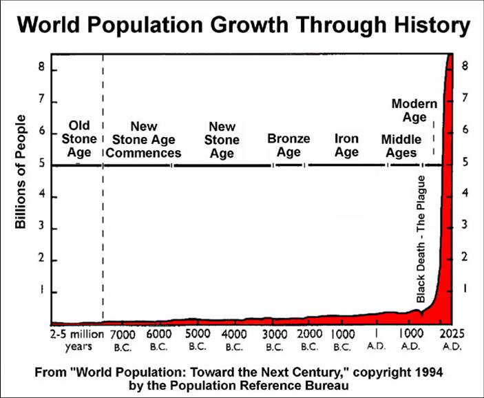 human population growth bearing