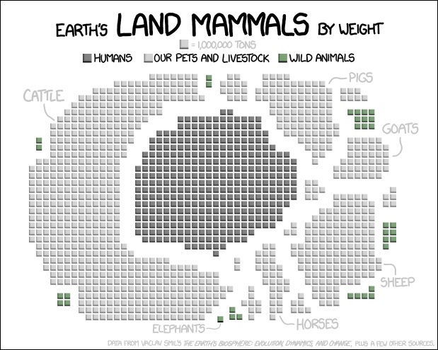 land animals